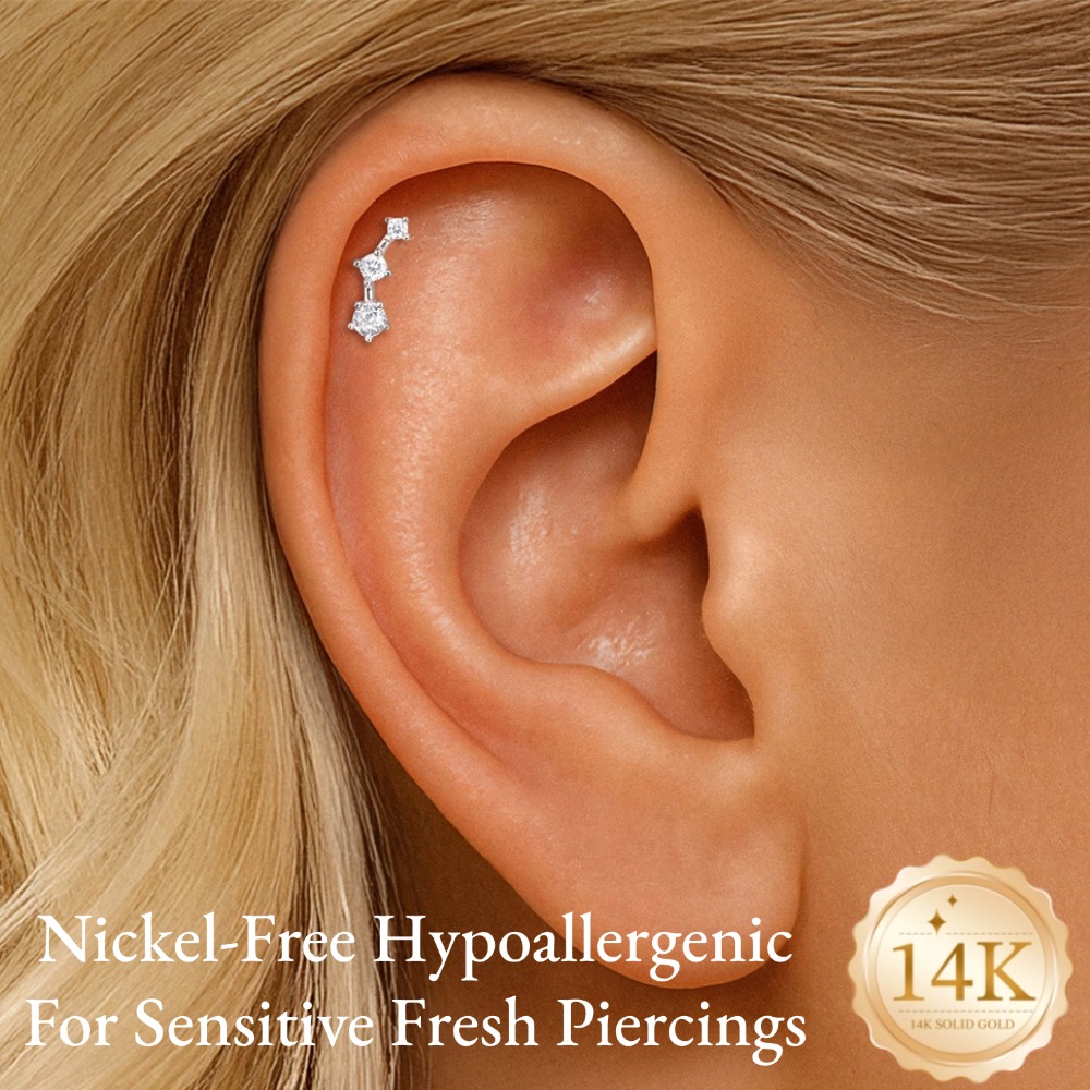DIeSchein 14K Solid Gold CZ Ca - Tragus Flat Back recension och pris
