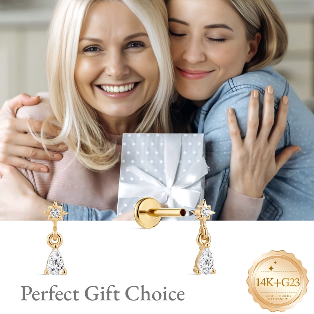 DIeSchein 14K Gold Stud Earrin - Tragus Flat Back recension och pris