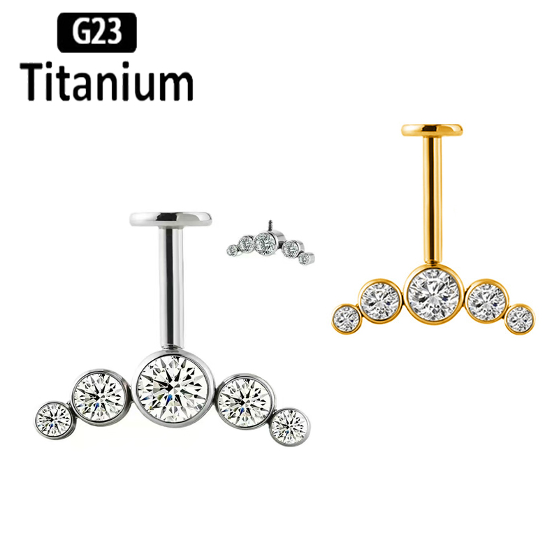 G23 Titanium Ear Piercing Inte - Body Jewelry Vertical Labret recension och pris